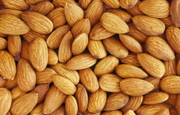 ALMOND 004