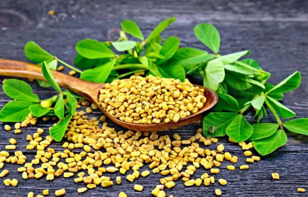 FENUGREEK 029