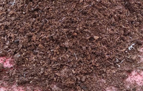 Coconut Compost